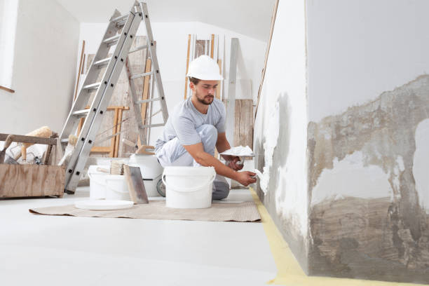 Best HVAC Mold Inspection and Cleaning  in Lake Dalecarlia, IN