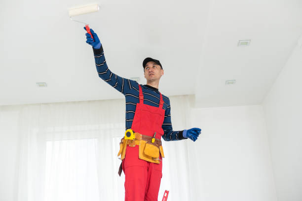 Trusted Lake Dalecarlia, IN Mold Removal Experts