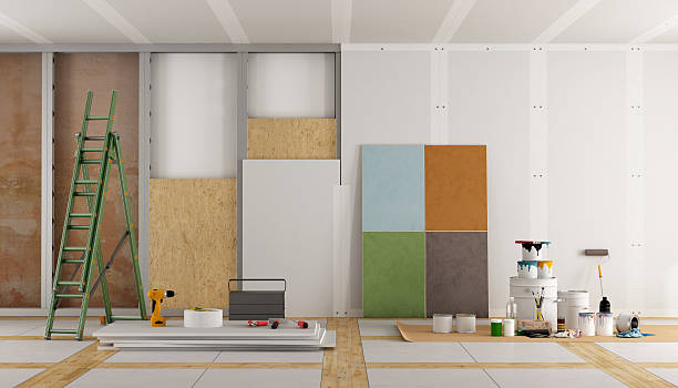 Best Attic Mold Removal  in Lake Dalecarlia, IN