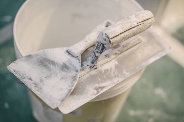 Best Dehumidification Services  in Lake Dalecarlia, IN